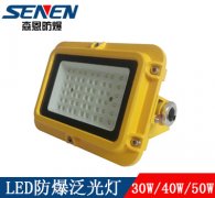 防爆燈30W免維護管廊防爆燈